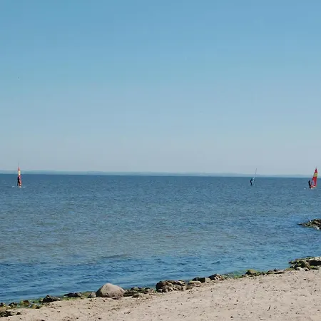Solsikken * Havrvig